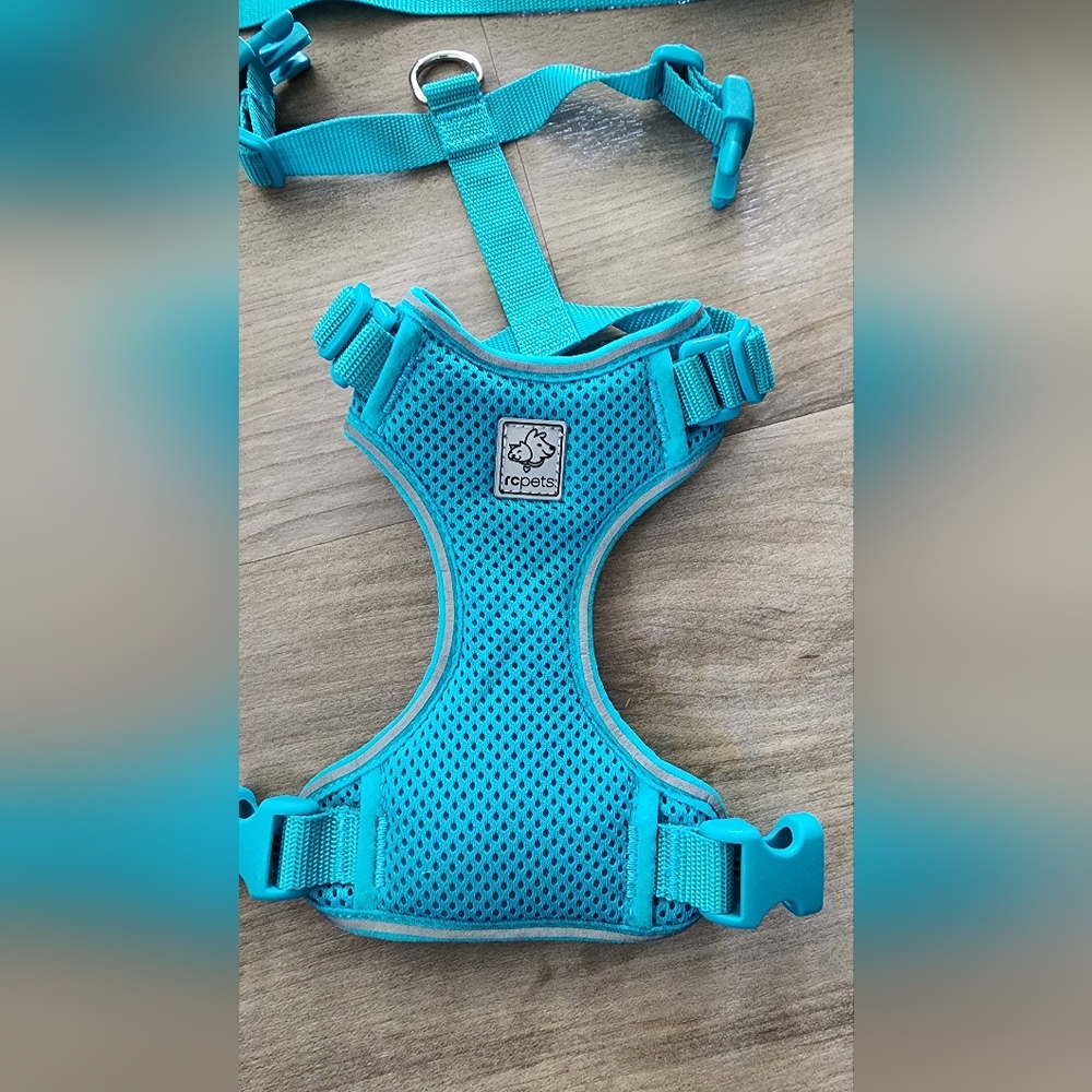 Small Teal Pet Harness and Leash